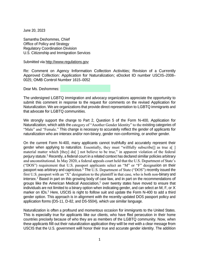 Application For Naturalization Form N 400 screenshot