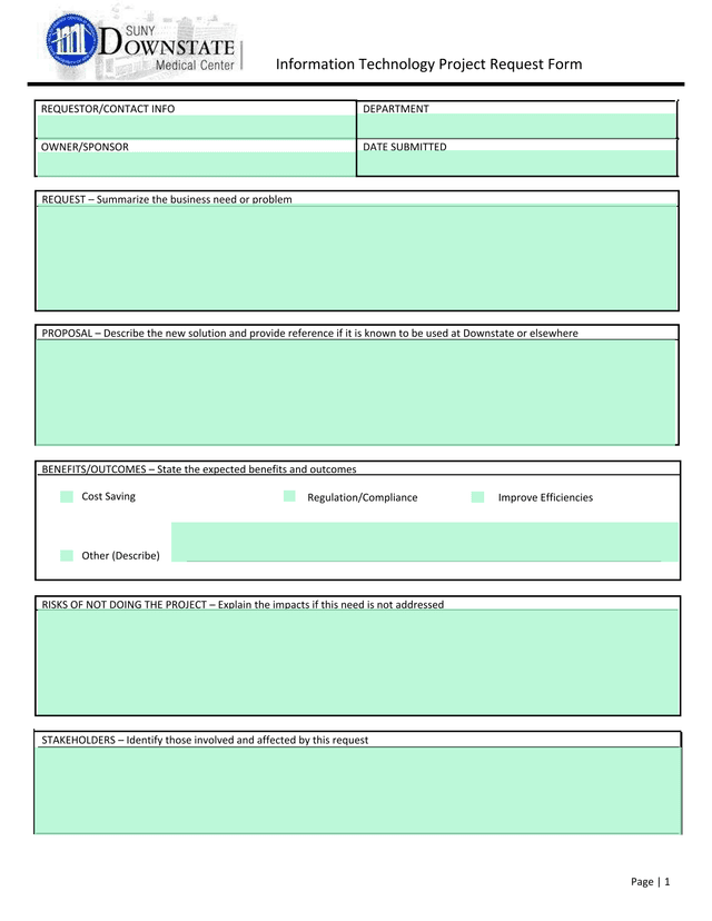 Information Technology Project Request Form screenshot