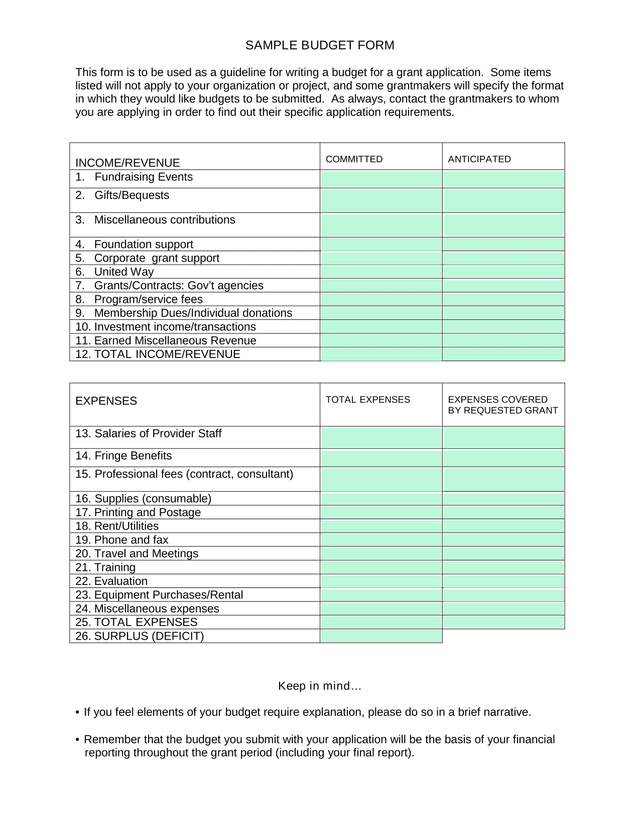 SAMPLE BUDGET FORM screenshot