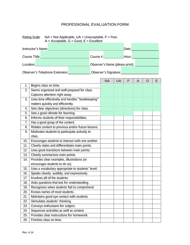 Professional Evaluation Form screenshot