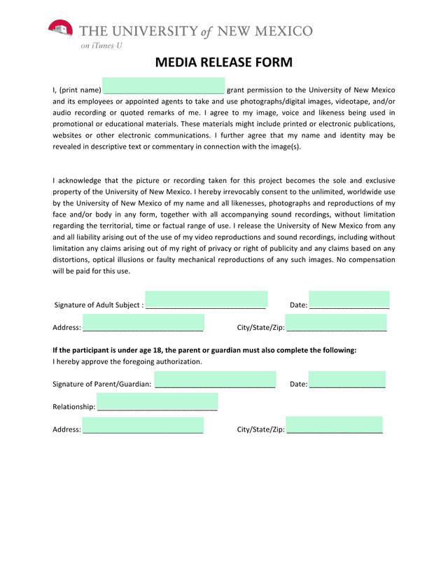 Media Release Form screenshot