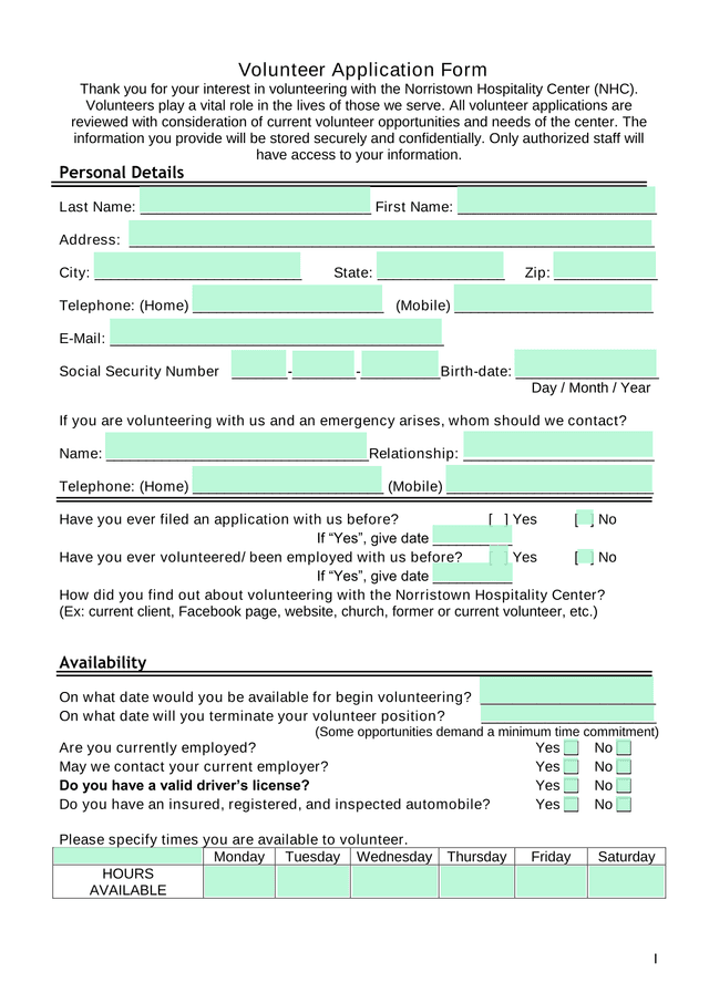Volunteer Application Form screenshot
