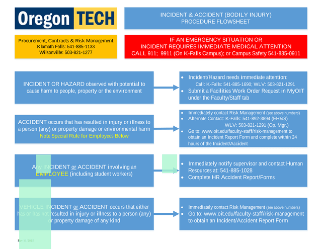 INCIDENT  ACCIDENT (BODILY INJURY) PROCEDURE FLOWSHEET screenshot