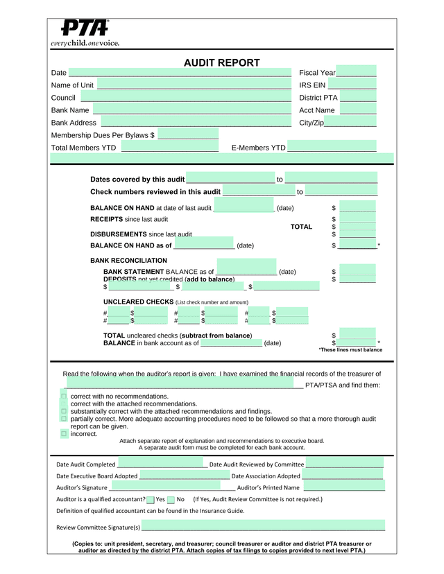 Audit Report screenshot