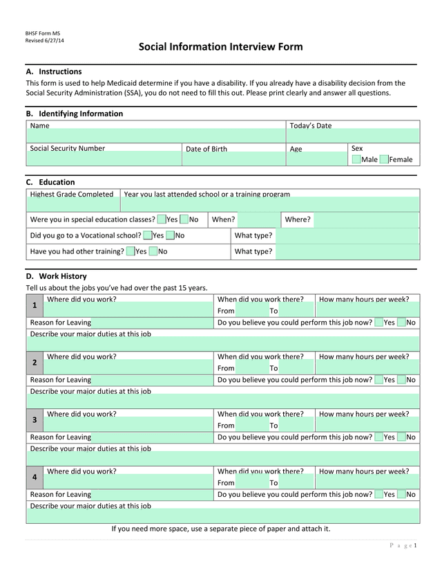 Social Information Interview Form screenshot