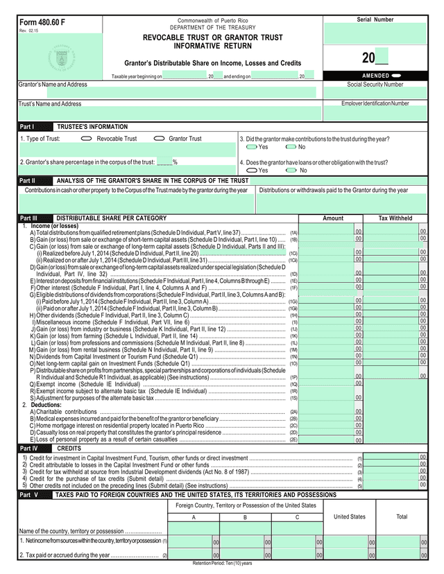 Form 480.60 F screenshot