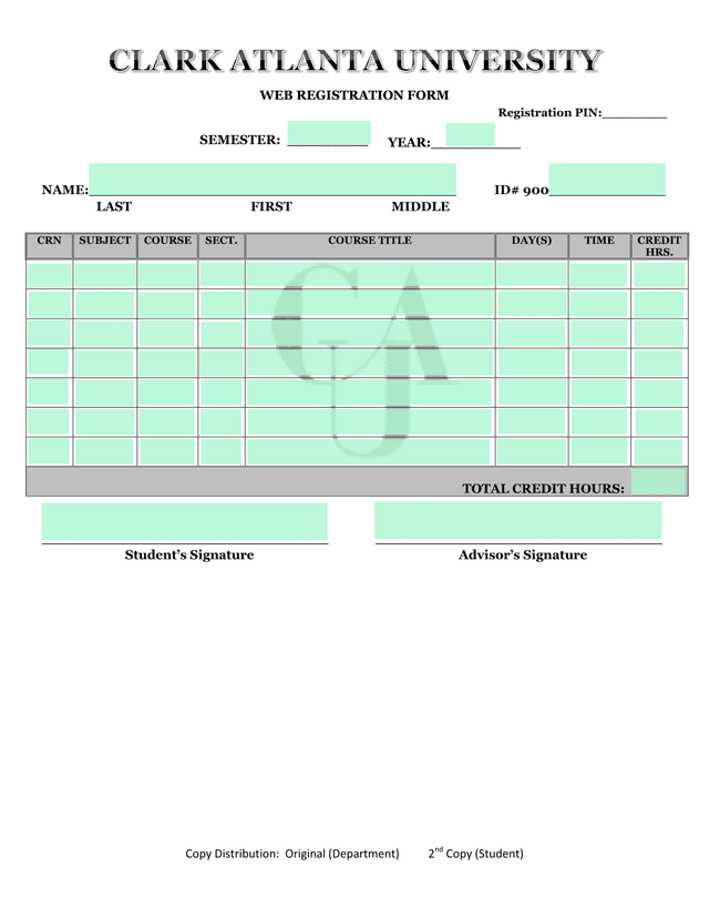 WEB REGISTRATION FORM screenshot