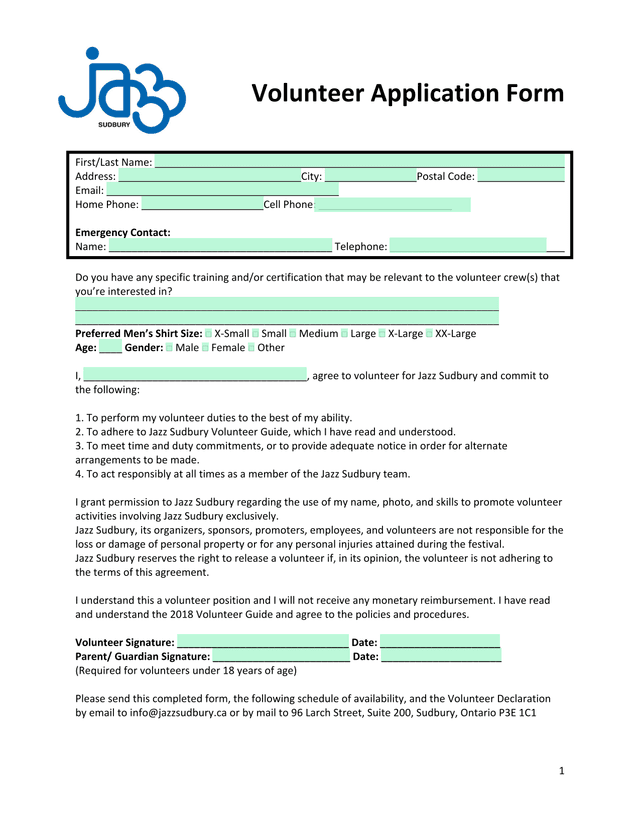 Volunteer Application Form screenshot