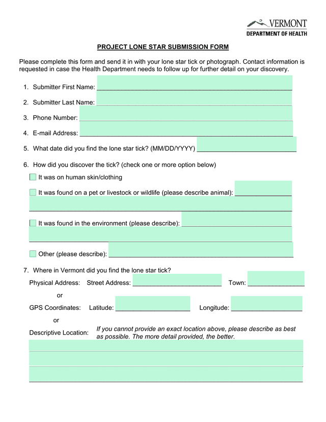Project Lone Star Submission Form screenshot