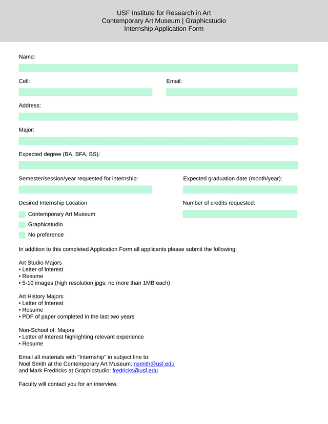 USF Institute For Research In Art Internship Application Form screenshot