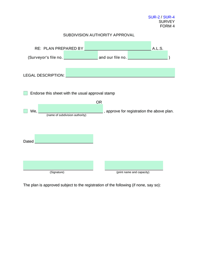 SUR 2  SUR 4 SURVEY FORM 4 screenshot