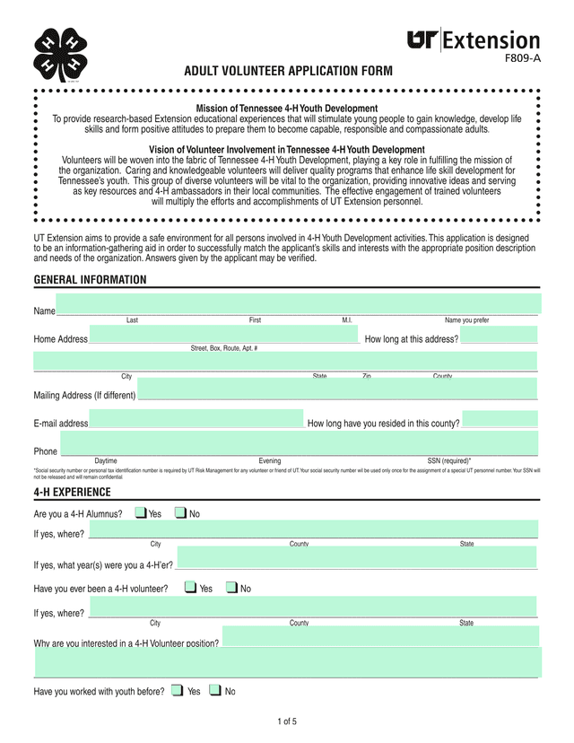 ADULT VOLUNTEER APPLICATION FORM screenshot