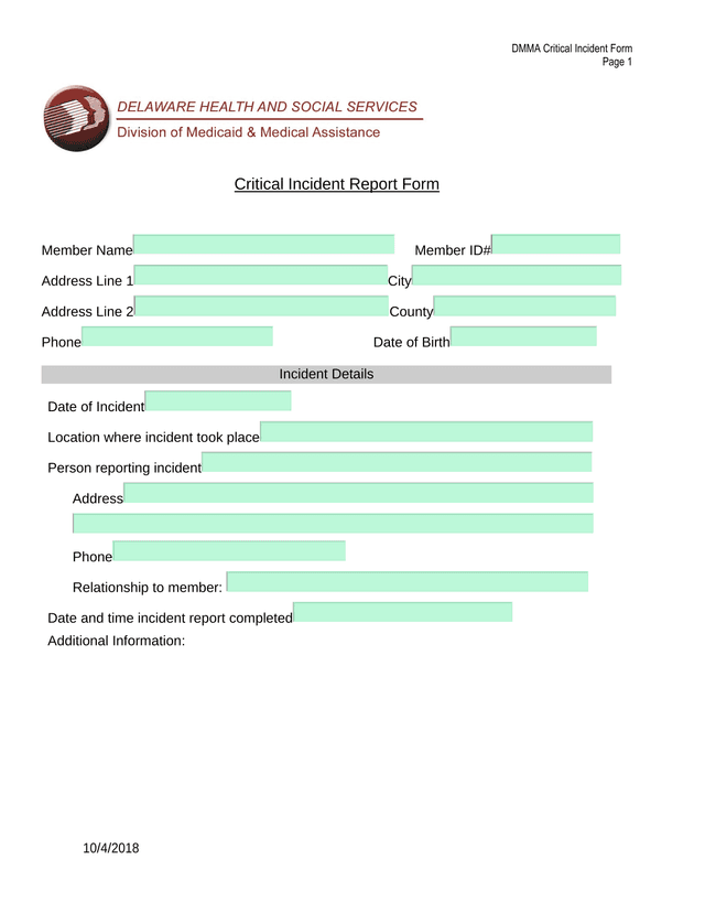 DMMA Critical Incident Form screenshot