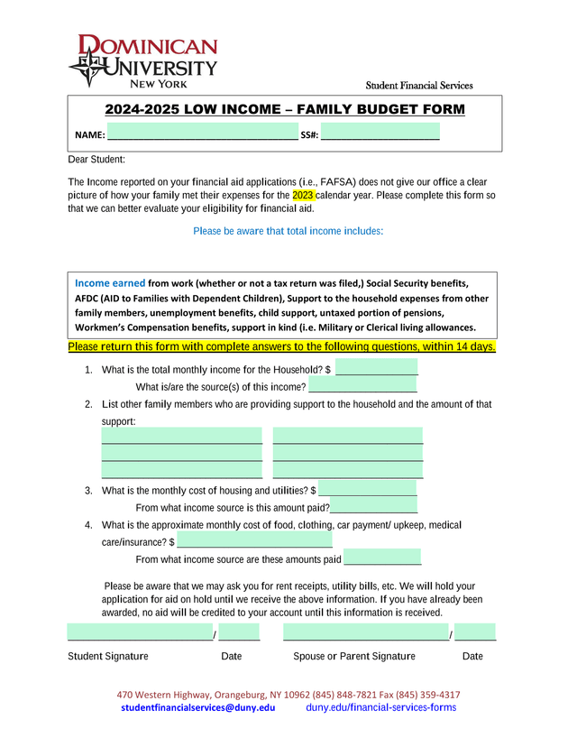 2024 2025 LOW INCOME  FAMILY BUDGET FORM screenshot
