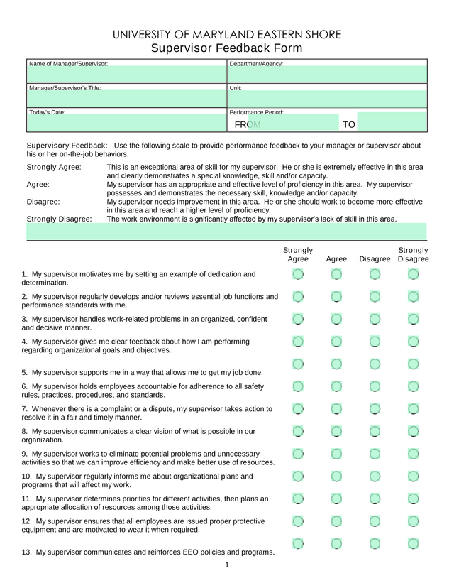 Supervisor Feedback Form screenshot