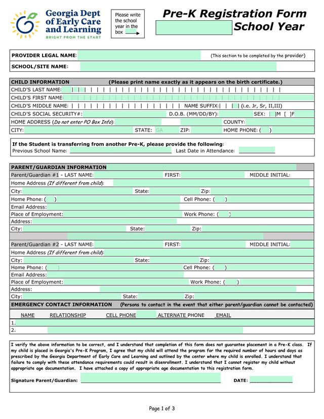 Child Information Form screenshot