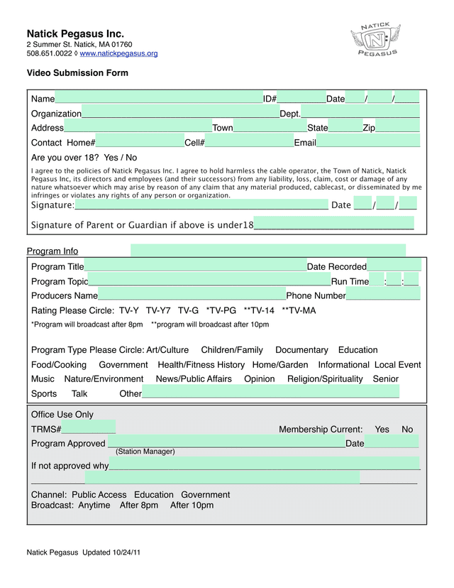 Video Submission Form screenshot