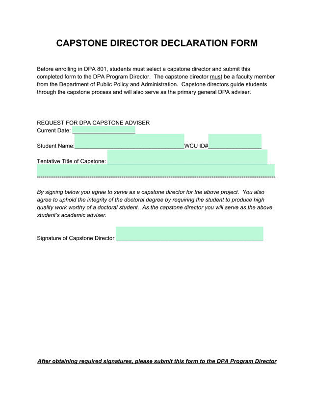 Capstone Director Declaration Form screenshot