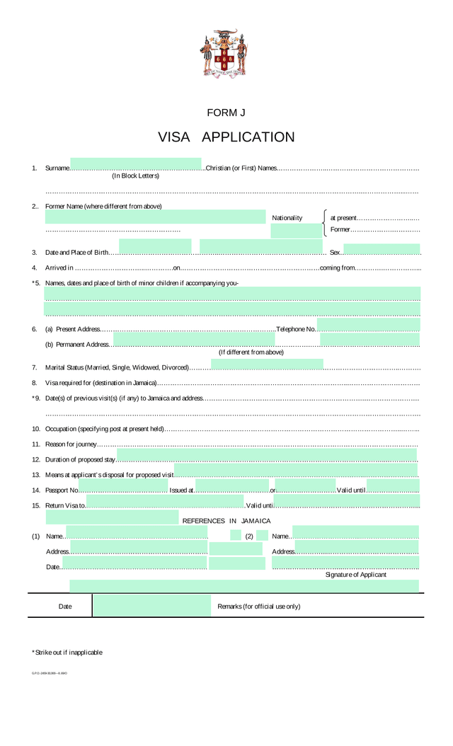 FORM J VISA APPLICATION screenshot