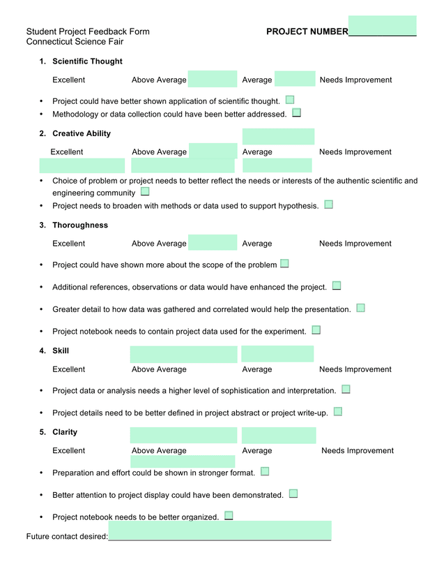 Student Project Feedback Form screenshot