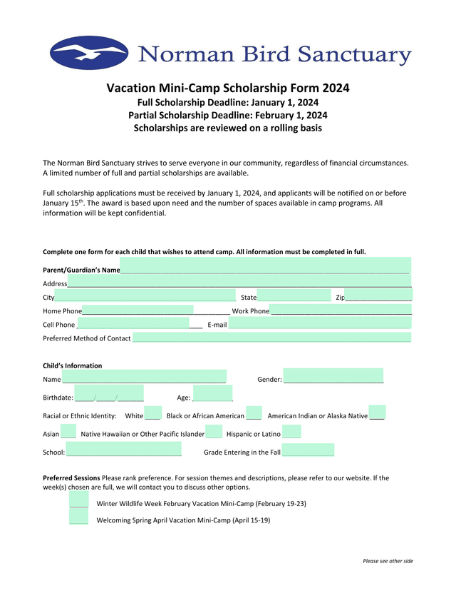 Vacation Mini Camp Scholarship Form 2024 screenshot