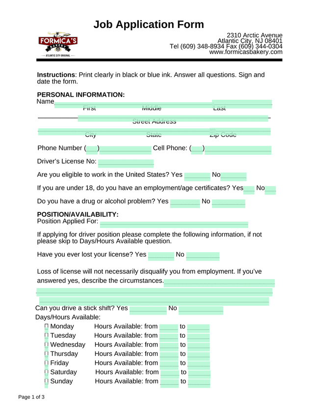 Job Application Form screenshot
