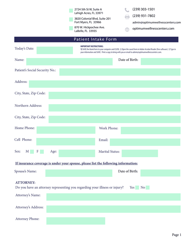 Patient Intake Form screenshot
