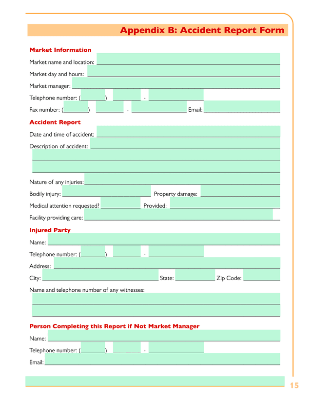 Appendix B Accident Report Form screenshot