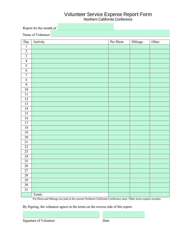 Volunteer Service Expense Report Form screenshot