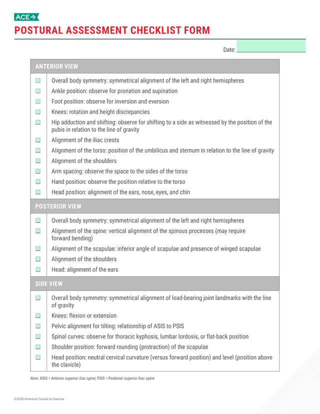 Postural Assessment Checklist Form screenshot