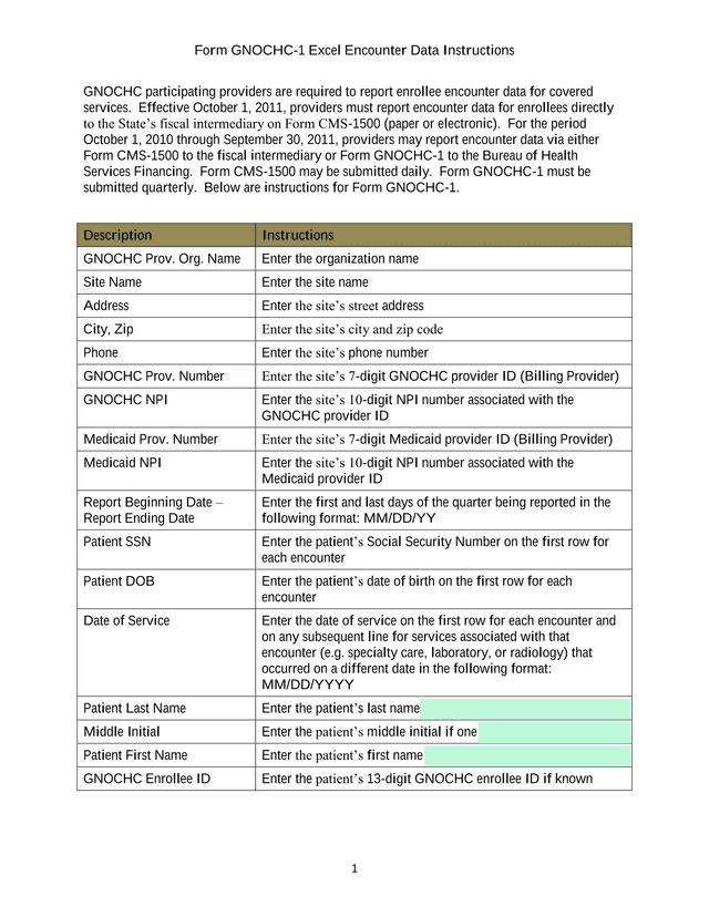 Form GNOCHC 1 Excel Encounter Data Instructions screenshot