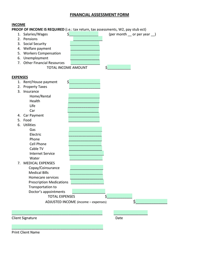 FINANCIAL ASSESSMENT FORM screenshot