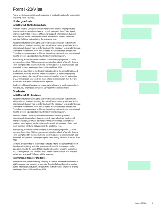 Form I 20Visa screenshot