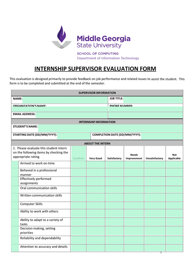 Internship Supervisor Evaluation Form screenshot