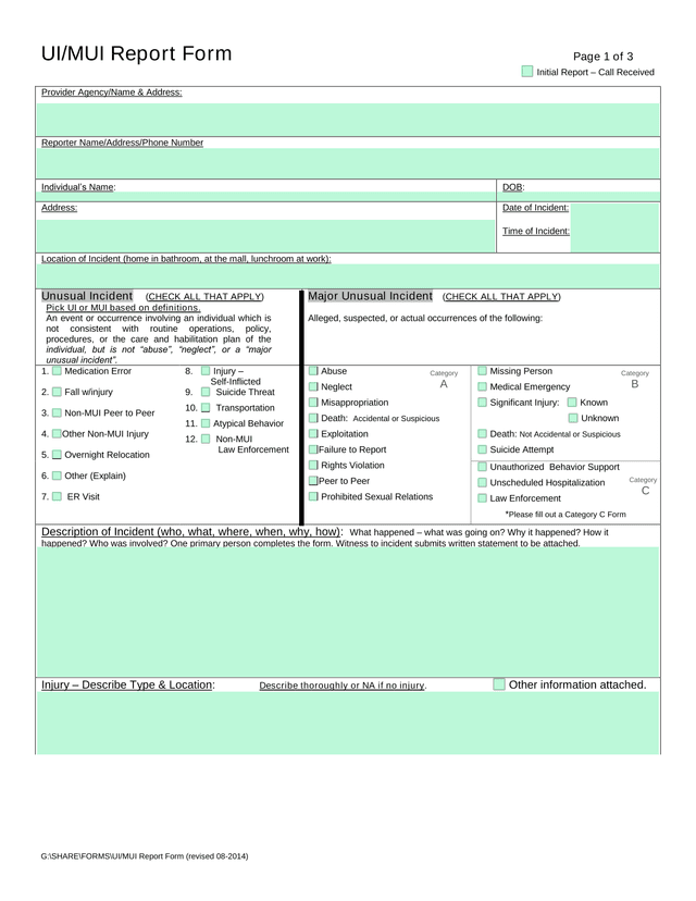 UIMUI Report Form screenshot
