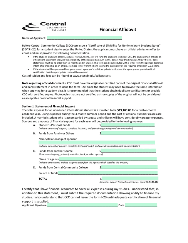Financial Affidavit screenshot