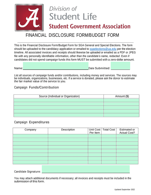 Financial Disclosure FormBudget Form screenshot