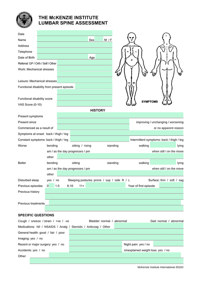 McKenzie Institute Lumbar Spine Assessment Examination screenshot