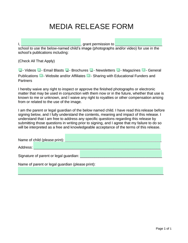 MEDIA RELEASE FORM screenshot