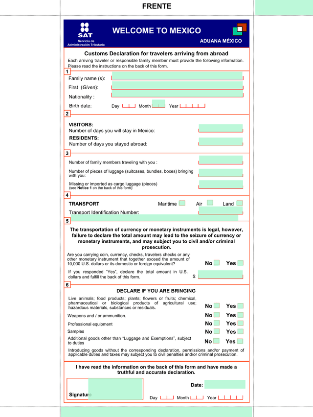 Customs Declaration For Travelers Arriving From Abroad screenshot