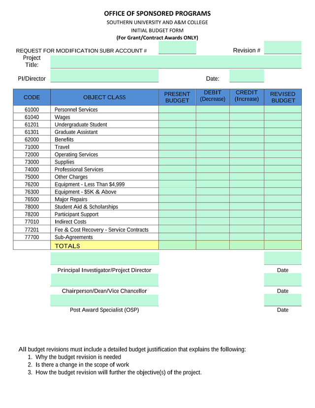 INITIAL BUDGET FORM screenshot