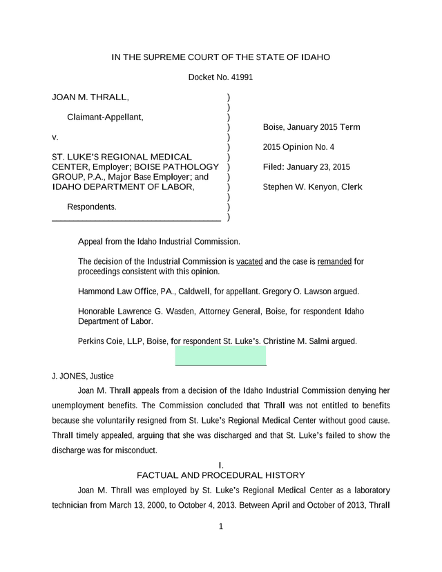 In The Supreme Court Of The State Of Idaho   Joan M. Thrall V. St. LukeS Regional Medical Center Et  screenshot