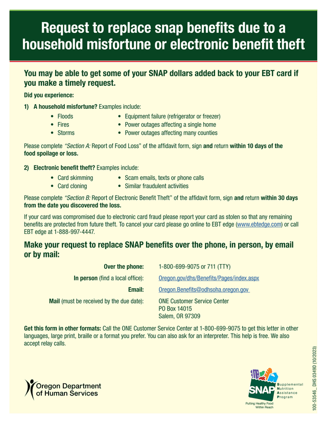 Affidavit To Request Replacement Of SNAP Benefits screenshot