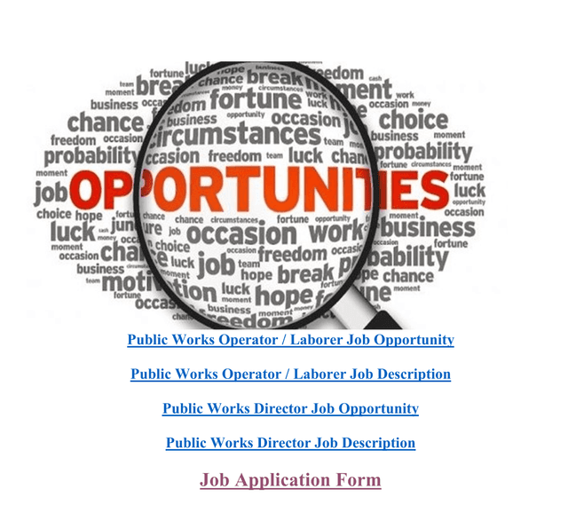 Job Application Form screenshot
