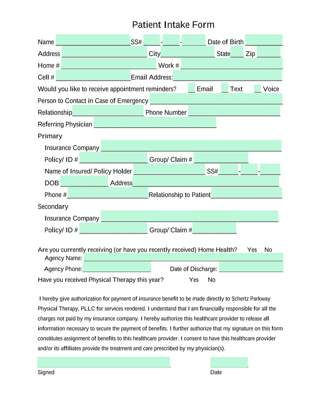 Patient Intake Form screenshot