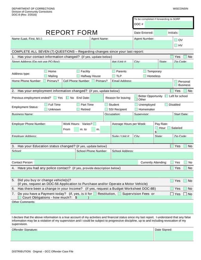 DOC 8 Report Form screenshot