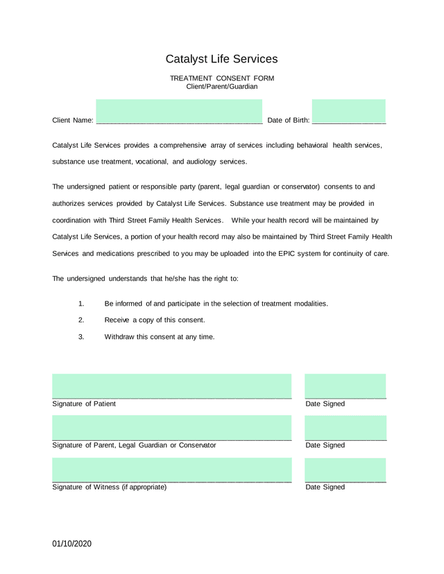 TREATMENT CONSENT FORM screenshot