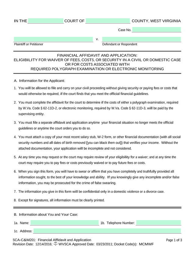SCA CM201 Financial Affidavit And Application screenshot