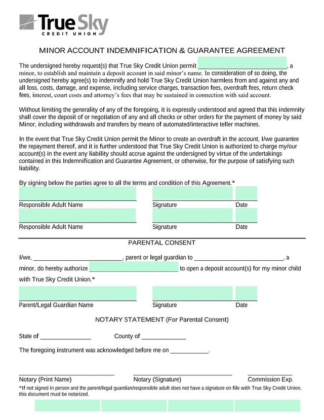 Minor Account Indemnification  Guarantee Agreement screenshot