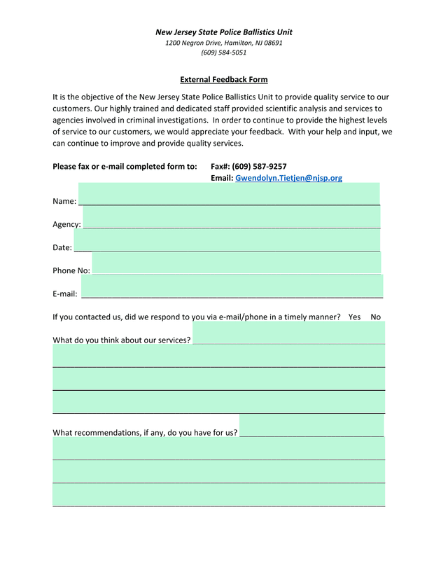 External Feedback Form screenshot